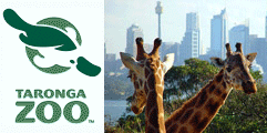 Taronga Zoo Taronga Zoo