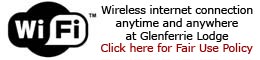Wireless Internet Access